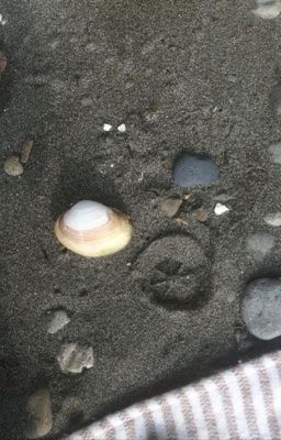 Textfic ꒰ Báo thủ ruột thịt ꒱ 